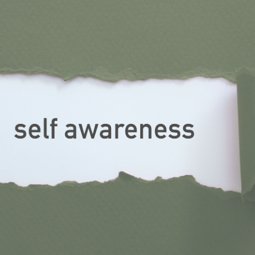 Therapist as First Client